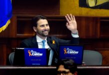 ‘El proyecto de ley de atención integral del cáncer es de los más vanguardistas de la región’, destaca Niels Olsen | Política | Noticias