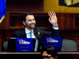 ‘El proyecto de ley de atención integral del cáncer es de los más vanguardistas de la región’, destaca Niels Olsen | Política | Noticias