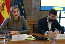 El Gobierno prepara un decreto para ganar capacidad en la red eléctrica y desbloquear inversiones millonarias | Economía