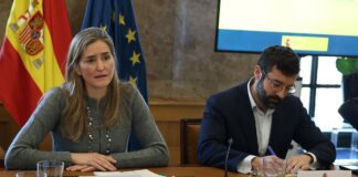 El Gobierno prepara un decreto para ganar capacidad en la red eléctrica y desbloquear inversiones millonarias | Economía