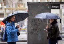 Una incidencia a nivel nacional de Movistar deja sin fibra y móvil a miles de pymes durante varias horas | Economía