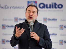 TCE niega denuncia por violencia política de género contra Pabel Muñoz | Política | Noticias
