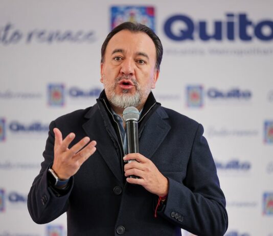 TCE niega denuncia por violencia política de género contra Pabel Muñoz | Política | Noticias
