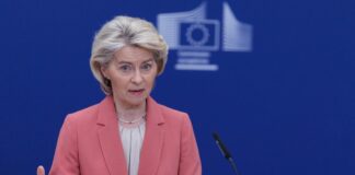 El largo camino para que el acuerdo comercial UE-Mercosur pase de la “aplicación provisional” a la definitiva | Economía