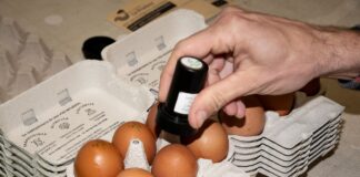 El meteórico ascenso del precio del huevo no da tregua | Economía