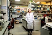 La nueva generación de mayores activos: “Quizás no me jubile nunca” | Economía