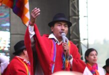 Ecuarunari impulsará un proceso de revocatoria de mandato del presidente Daniel Noboa | Política | Noticias