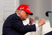 Trump, política económica terrorista | Economía