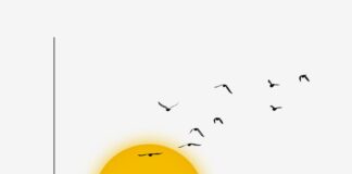 Razones para el optimismo | Negocios