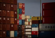 Al rescate del árbitro comercial mundial | Economía