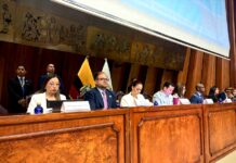 Presunta emisión de matrículas ilegales, venta de especies y eliminación de multas se fiscalizan en la Asamblea Nacional | Política | Noticias