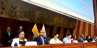 Presunta emisión de matrículas ilegales, venta de especies y eliminación de multas se fiscalizan en la Asamblea Nacional | Política | Noticias