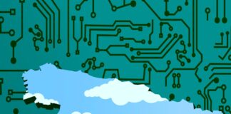 Patrones de crecimiento regional | Negocios