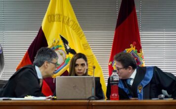 Mercedes Caicedo, la joven jueza nacional que es propuesta para presidir la Judicatura; la magistrada es partidaria de avanzar en reformas profundas | Política | Noticias