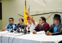 Conaie alerta que proyecto urgente sobre minería y energía pone en riesgo derechos colectivos, territorios y fuentes de agua | Política | Noticias