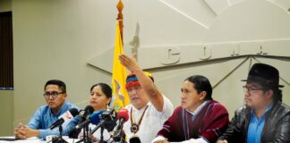 Conaie alerta que proyecto urgente sobre minería y energía pone en riesgo derechos colectivos, territorios y fuentes de agua | Política | Noticias