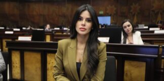 Convocado el CAL para conocer pruebas contra asambleísta Diana Jácome por presunta agresión verbal a la RC | Política | Noticias