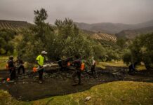 Los productores de aceite de oliva activan las alarmas tras el veto comercial anunciado por Trump | Economía