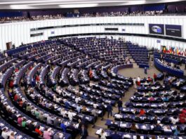 Málaga se queda fuera de la carrera por la Agencia Aduanera Europea | Economía