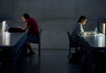 El Consejo de Ministros envía al Parlamento el estatuto del becario | Economía