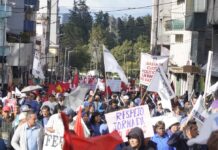 Organizaciones sociales marchan en Quito contra Ley de eficiencia en los GAD y acuerdo de jornada laboral | Política | Noticias