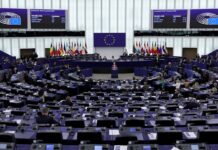 La UE elige la sede de la Agencia Aduanera Europea a la que opta Málaga | Economía