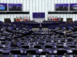 La UE elige la sede de la Agencia Aduanera Europea a la que opta Málaga | Economía