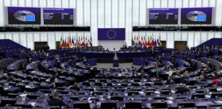 La UE elige la sede de la Agencia Aduanera Europea a la que opta Málaga | Economía