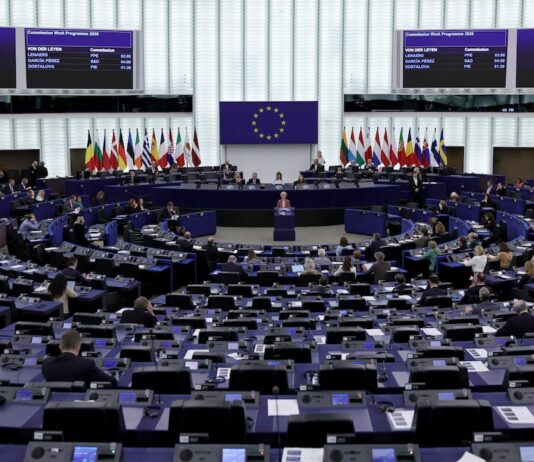 La UE elige la sede de la Agencia Aduanera Europea a la que opta Málaga | Economía