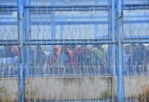 Proyecto de ley permite a las PPL tener visitas telemáticas en las cárceles del país | Política | Noticias