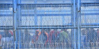 Proyecto de ley permite a las PPL tener visitas telemáticas en las cárceles del país | Política | Noticias