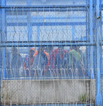 Proyecto de ley permite a las PPL tener visitas telemáticas en las cárceles del país | Política | Noticias