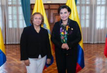 Venta de energía, presencia militar en frontera y traslado de presos, los principales puntos que expondría Ecuador a Colombia en reunión en Lima | Política | Noticias