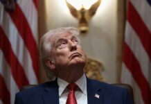 La guerra de Trump abona el terreno para la especulación financiera, pero levanta ampollas en Wall Street | Economía