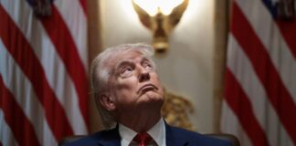 La guerra de Trump abona el terreno para la especulación financiera, pero levanta ampollas en Wall Street | Economía