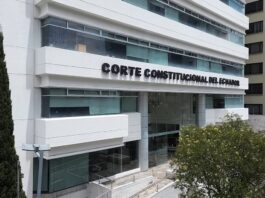 Corte Constitucional valida pregunta de enmienda para que la Asamblea Nacional designe a autoridades | Política | Noticias