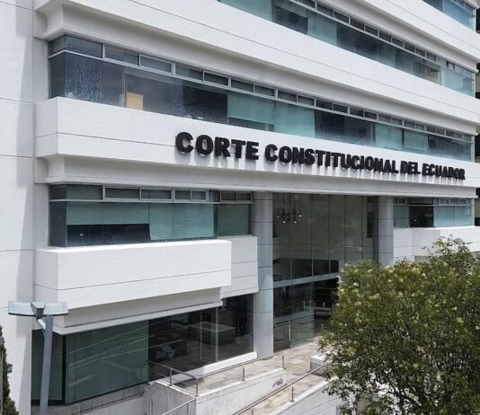 Corte Constitucional valida pregunta de enmienda para que la Asamblea Nacional designe a autoridades | Política | Noticias