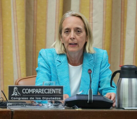 El Congreso ratifica a Inés Olóndriz como presidenta de la Autoridad Fiscal | Economía