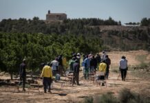 Cierre de colegios, crisis en el campo y menos crecimiento: así sería la España sin inmigración | Economía