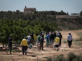 Cierre de colegios, crisis en el campo y menos crecimiento: así sería la España sin inmigración | Economía