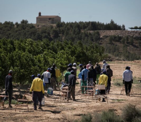 Cierre de colegios, crisis en el campo y menos crecimiento: así sería la España sin inmigración | Economía