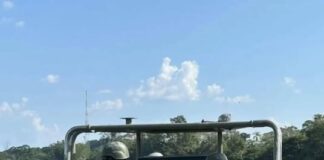 Al menos quince grupos de delincuencia organizada operan en la frontera con Colombia: se dedican al narcotráfico, minería ilegal, tráfico de armas y más