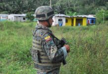 Acusación de Gustavo Petro sobre supuesto bombardeo desde Ecuador no cala en Colombia | Política | Noticias