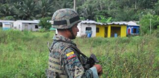 Acusación de Gustavo Petro sobre supuesto bombardeo desde Ecuador no cala en Colombia | Política | Noticias