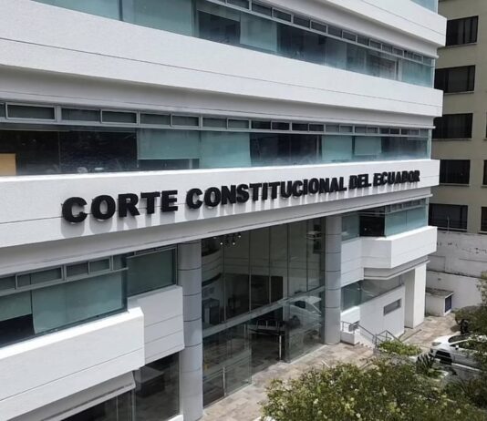 Renuncia del juez Raúl Llasag, en análisis del pleno de la Corte Constitucional | Política | Noticias