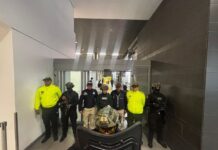 Abogado de las hijas de Fernando Villavicencio no espera que alias ‘Lobo Menor’ colabore con la justicia; el detenido llegaría al país vía expulsión | Política | Noticias