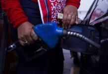 Daniel Noboa amplía plazos de compensación para transportistas por eliminación del subsidio al diésel | Política | Noticias