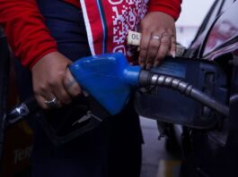 Daniel Noboa amplía plazos de compensación para transportistas por eliminación del subsidio al diésel | Política | Noticias