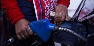 Daniel Noboa amplía plazos de compensación para transportistas por eliminación del subsidio al diésel | Política | Noticias
