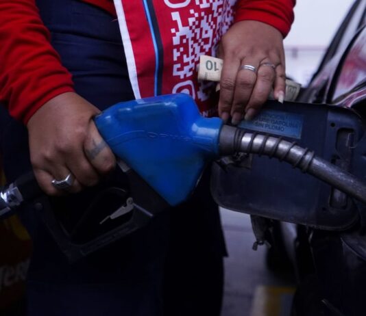 Daniel Noboa amplía plazos de compensación para transportistas por eliminación del subsidio al diésel | Política | Noticias